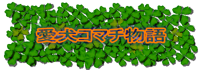 愛犬コマチ物語